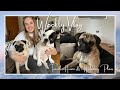 Travelling Home & California / Hawaii Travel Plans