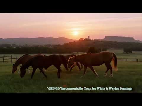 "Gringo" by Tony Joe White and Waylon Jennings