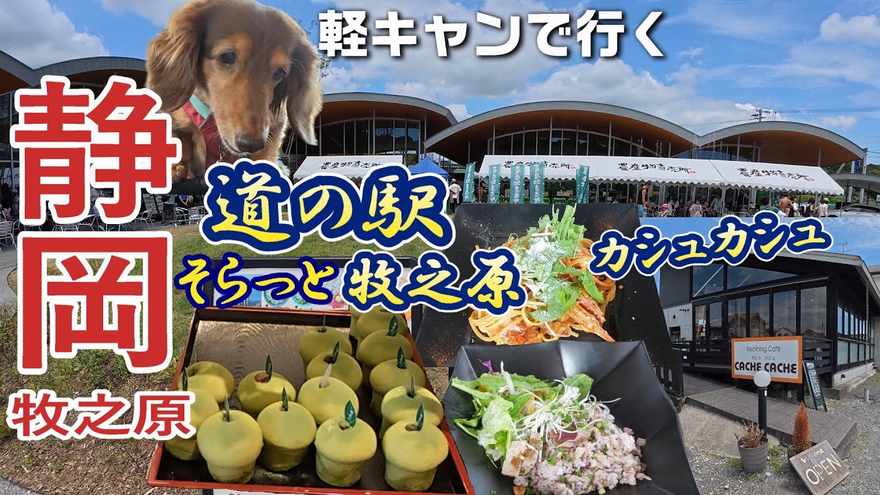 【犬旅 静岡牧之原】行列覚悟！道の駅そらっと牧ノ原に行ってみた/猛暑でも涼しくランチ出来るカシュカシュ　#RecliningCafeCACHECACHE