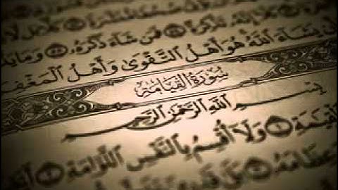 هاني الرفاعي- سورة القيامه .m