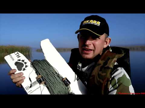 Видео: Как сами да осолявате коремите на сьомга