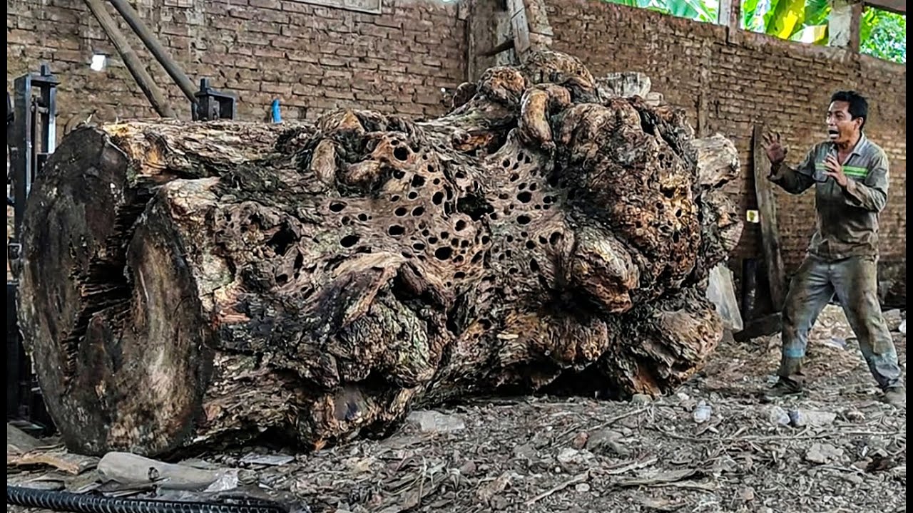 UNBELIEVABLE FIND!! Trembesi Monster Log Unveils Breathtaking Wood ...