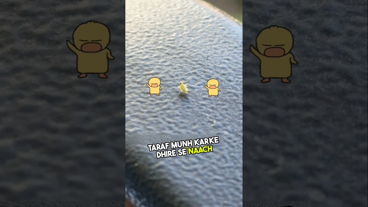 A mosquito started dancing on the girl's chair
