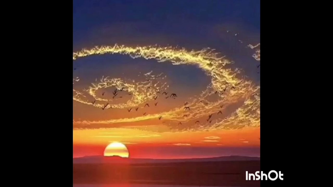 20 فوریهٔ 2026