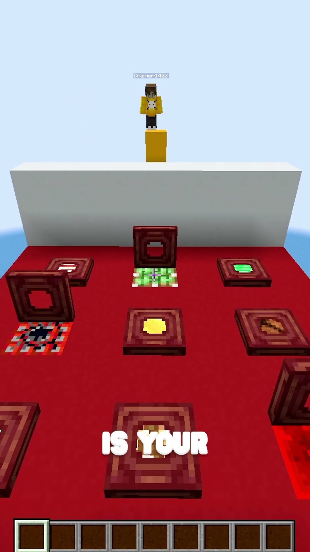 Guess The Minecraft Block vs Crainer!
