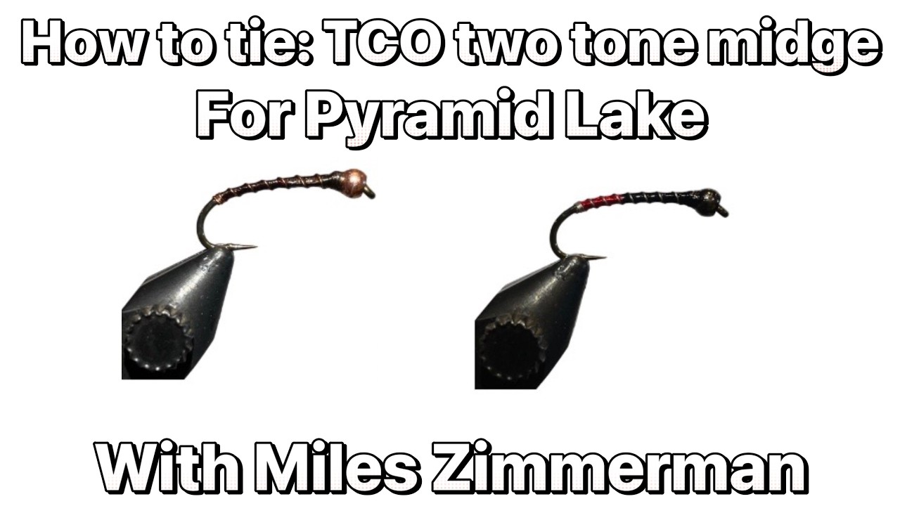 洋楽 The Knights Tipping Strings / The Hump Miles Zimmerman tying TCO's two-tone midge in copper wino - YouTube