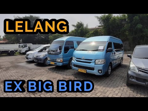 Video: Adakah yang bisa pergi ke pelelangan mobil?