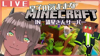【定期枠】皇子のきままMinecraft -流星さんサーバー編#2  【竜お兄さん系Vtuber】