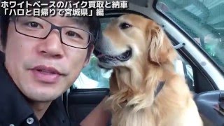 ホワイトベース2015年の遠方納車総集編