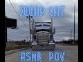 **700 HP CAT 3406E | STRAIGHT PIPE | ASMR | KENWORTH W900L | DETROIT - CHICAGO - DETROIT | 13 SPEED