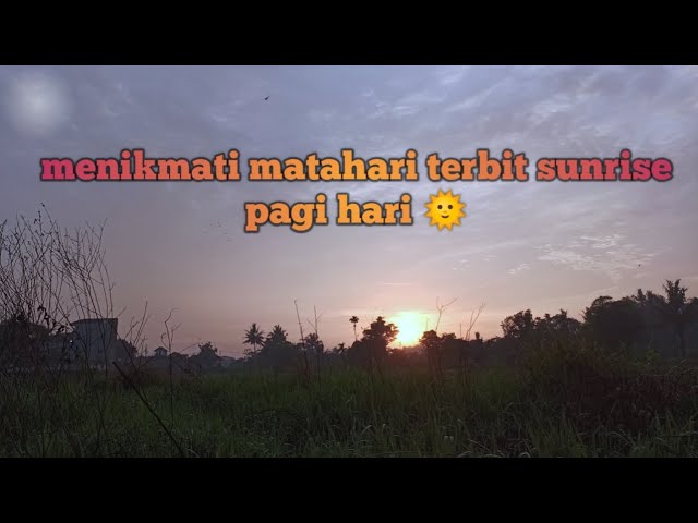 menikmati matahari //sunrise terbit pagi hari di sawah belakang rumah class=