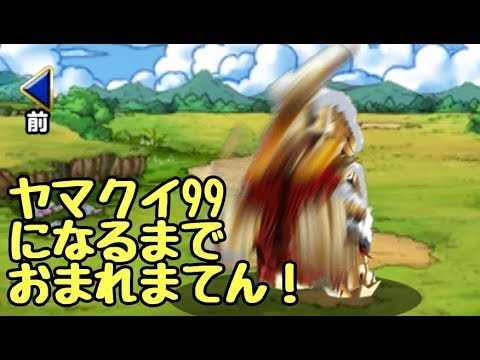 長かったヤマクイ集めも ついに完結 ライブ配信 Dqmsl Youtube 長かったヤマクイ集めも ついに完結 ライブ配信 Dqmsl Youtube