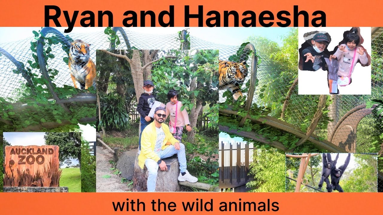 Ryan and Hanaesha at the Zoo - Day out with the wild animals ;0