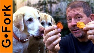 Homemade Sweet Potato Dog Treats Recipe Your Dogs Will Love | GardenFork