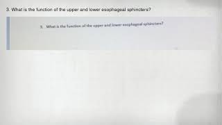 3. What is the function of the upper and lower esophageal sphincters?