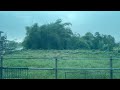 Rainy Countryside Serenity – Peaceful Rain Sounds Through the Window Near the Bamboo Grove