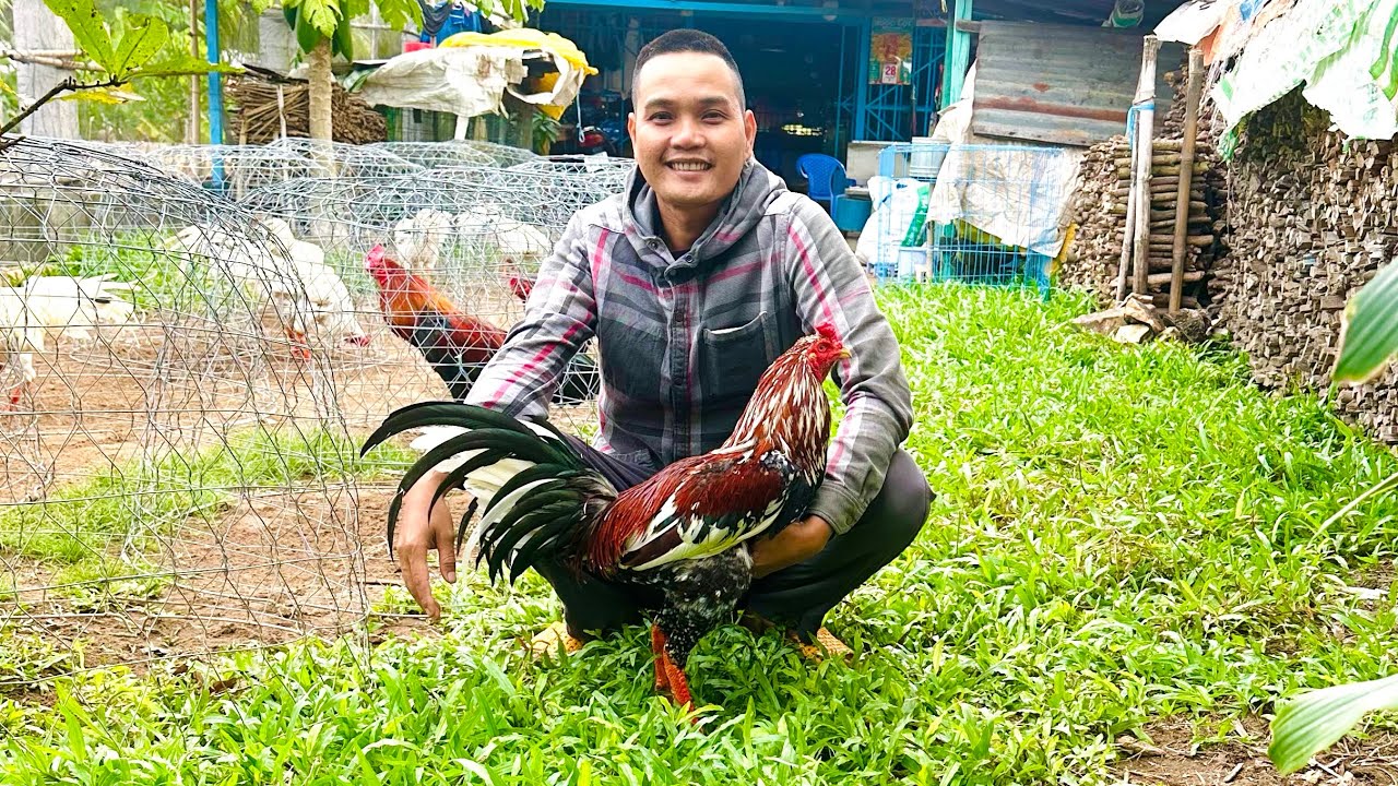 Tốp 🐓Gà Mới Về Trại Đang Vào Chế Độ Sạc 🔋 Phục Vụ Ae