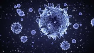 Viruses Under Microscope | Motion Graphics - Videohive template