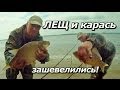 ПашАсУралмашА:-"ЛЕЩ и карась "зашевелились"!