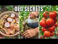 Don’t Throw Away Kitchen Waste — Make This Plant Booster! These 5 Liquids Are Better Than Chemicals