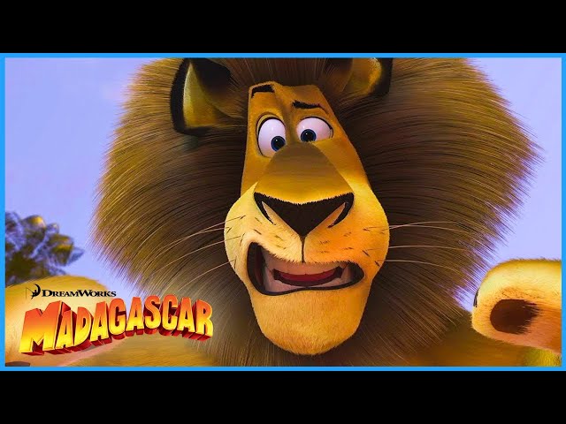 Madagascar 1 Alex Oversized 2005 Vintage Madagascar Movie Alex The