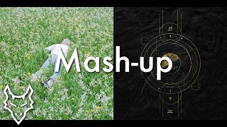 LOOK AT THE SKY TO BE ALIVE - Porter Robinson & Sam Bowman | Mashup
