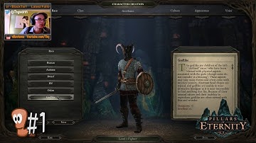 Pillars of Eternity #1 - Character Creation and Tutorial Dungeon