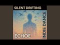 Silent Drifting