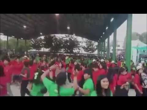 สาวอาชีวะสุรินทร์ แด๊นส์ มันส์ สุดเหวียง!!! งานกีฬาสีวิทยาลัยฯ