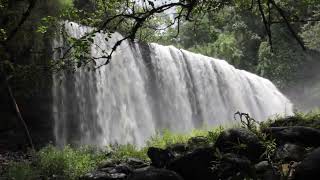 Calming Waterfall #shorts_video