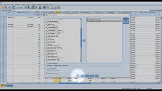 Using SPSS Running a Correlation