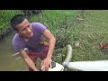 FISHING: Skills Fishing, Skills Use Powerful Pump and Catch Many Fish \ Wild Fishing