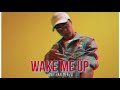 Mergui Wake Me Up Cover יהונתן מרגי 