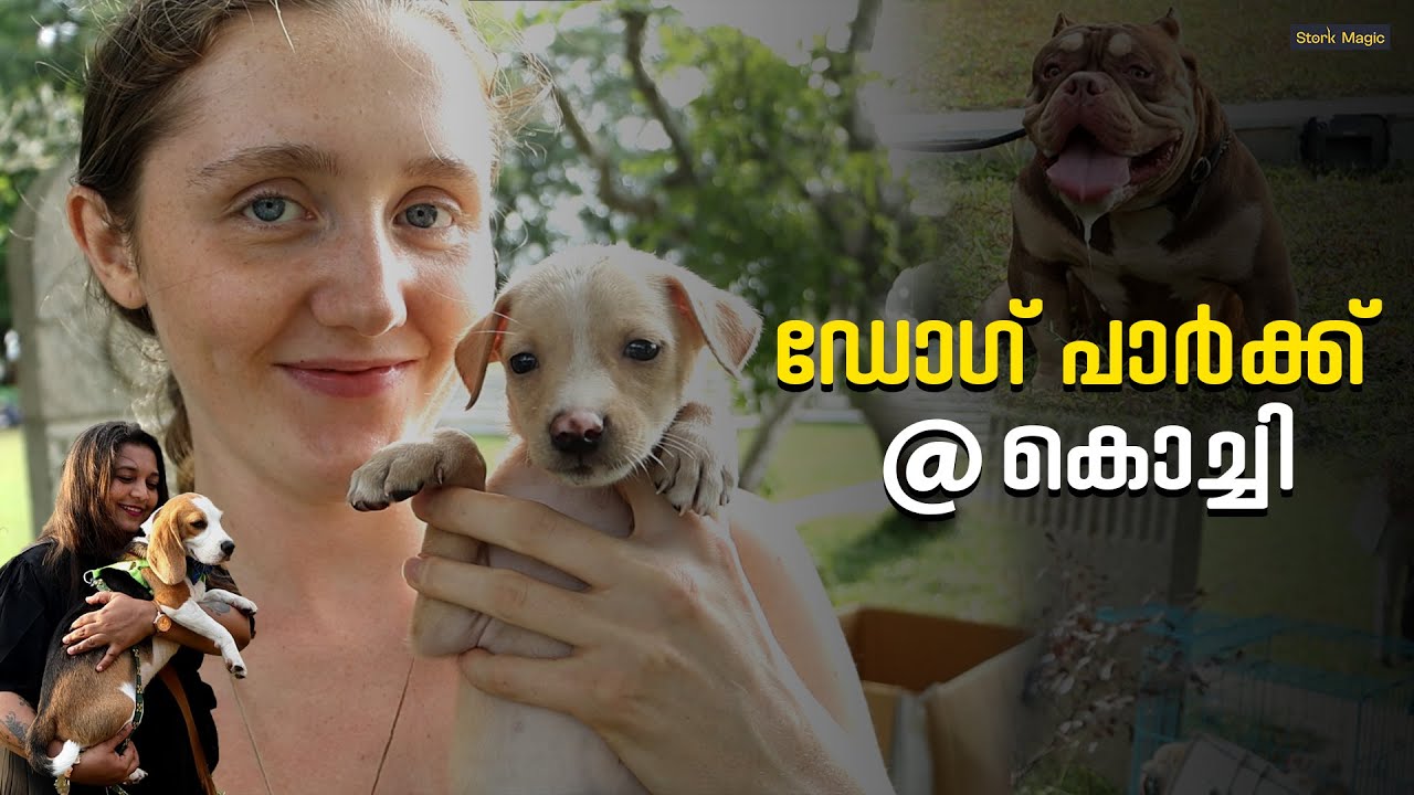 കേരളത്തിലെ ആദ്യ ' ഡോഗ് പാർക്ക് ' കൊച്ചിയിൽ Dog Park Ernakulam Dog