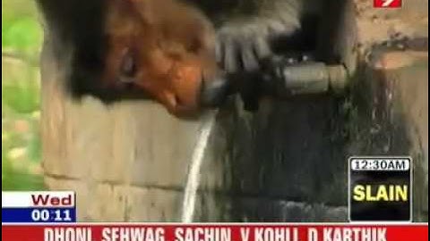 Put your thinking caps on