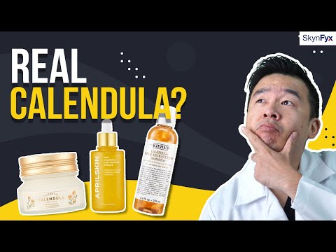 Video: Homemade Calendula Oil - Mga Tip Sa Pagpapalaki ng Calendula Para sa Langis