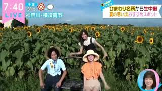 朝から生足がエロいマシュー彩　＃マーシュ彩