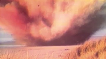 How Exploding a Sperm Whale Spawned the First Viral Video