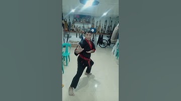 combos open hand short video #hanseipmvlog