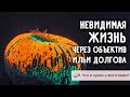 Невидимая жизнь. Что в сумке Ильи Долгова?