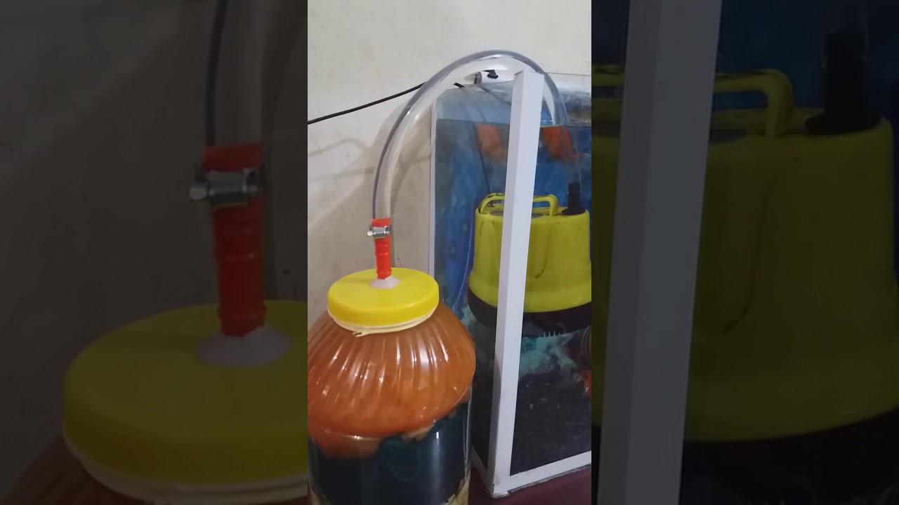 عمل فلتر لحوض اسماك منزلي