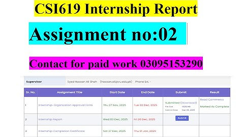CSI619 Assignment 2 internship report  2025 |csi 619 internship  |csi 619 vu | csi 619 internship vu