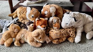 Déballage de peluches Vinted aux Pays-Bas Déballage de peluches Vinted aux Pays-Bas