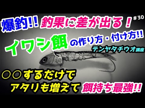 エサ持ち最強！爆釣イワシ餌の作り方【太刀魚テンヤ】