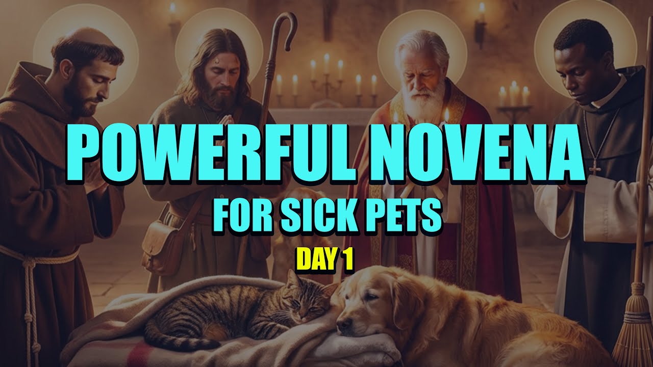 Day 1: Miracle Healing Prayer for Sick Pet | St. Francis Intercession