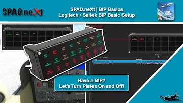 MSFS | SPAD.neXt | BIP Basics