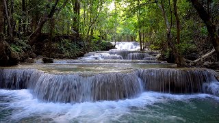Waterfall Gentle Stream Sound in forest 24/7. Waterfall Sounds, Flowing Water, White Noise for Sleep