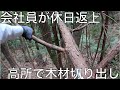 高所に掛かった木の先端も無駄にせず使うストロングスタイル【山開拓】#20