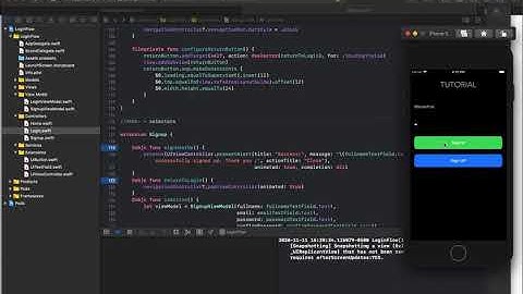 Swift 5 - How To Make a Login and Signup Flow - Intro