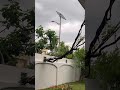Dark Clouds, Wind &amp; Swaying Trees 🌩️🍃 | Stunning Rainy Weather in Islamabad